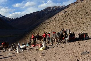 19 Muleteers Unload Mules At Sunset At Casa de Piedra On The Trek To Aconcagua Plaza Argentina Base Camp